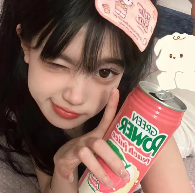 陆行鲨